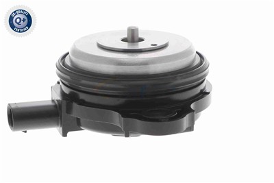 VAICO V20-3666 EAN: 4062375166411.