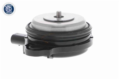 VAICO V20-3666 EAN: 4062375166411.