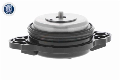 VAICO V20-3666 EAN: 4062375166411.