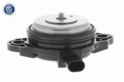 VAICO V20-3666 EAN: 4062375166411.