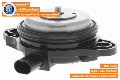 VAICO V20-3666 EAN: 4062375166411.