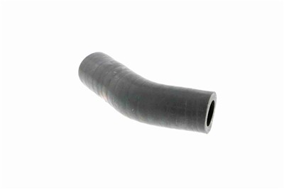 VAICO V24-0631 Číslo výrobce: 1035868. EAN: 4046001689765.