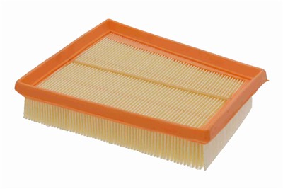 VAICO V25-0189 EAN: 4046001397325.