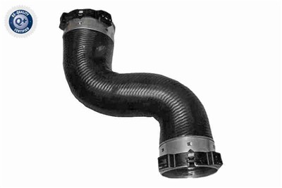 VAICO V30-1065 EAN: 4046001961656.