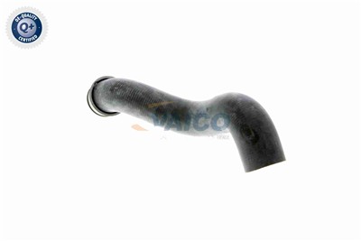 VAICO V30-1656 EAN: 4046001557828.