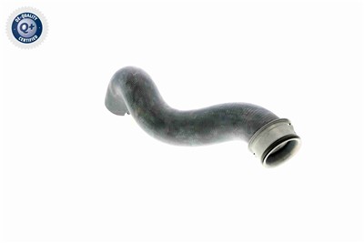 VAICO V30-1656 EAN: 4046001557828.