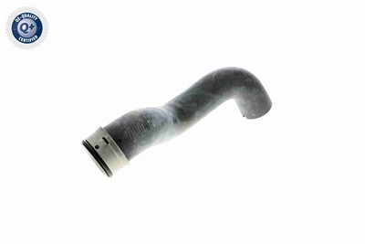 VAICO V30-1656 EAN: 4046001557828.