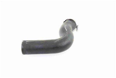 VAICO V30-1774 EAN: 4046001606700.