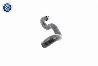 VAICO V30-1919 EAN: 4046001610318.