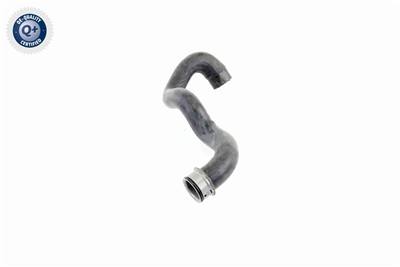 VAICO V30-1919 EAN: 4046001610318.