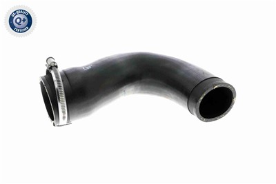 VAICO V30-3151 EAN: 4046001818240.