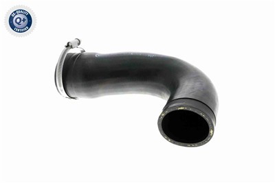 VAICO V30-3151 EAN: 4046001818240.