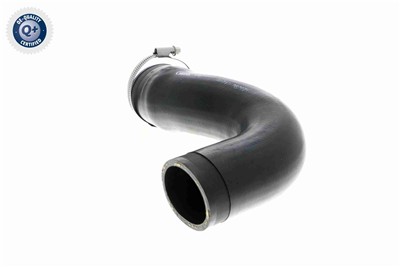 VAICO V30-3151 EAN: 4046001818240.