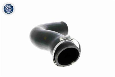 VAICO V30-3151 EAN: 4046001818240.