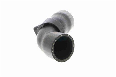 VAICO V42-0613 EAN: 4046001789144.