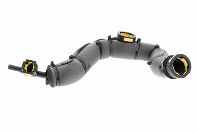 VAICO V42-0856 EAN: 4062375137213.