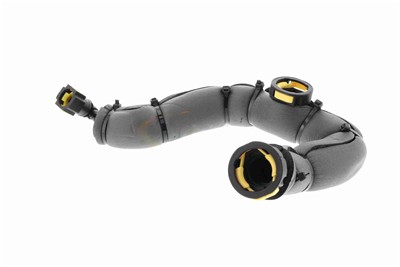 VAICO V42-0856 EAN: 4062375137213.