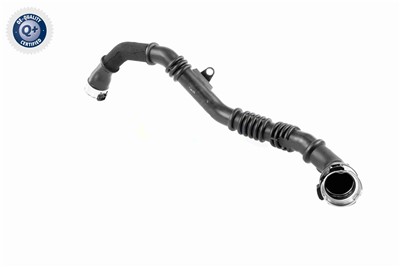 VAICO V46-1177 EAN: 4062375062683.