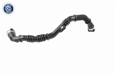 VAICO V46-1177 EAN: 4062375062683.