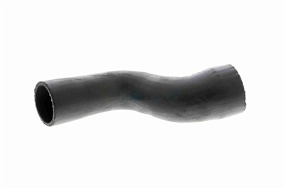 VAICO V48-0066 EAN: 4046001689703.