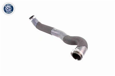 VAICO V48-0070 EAN: 4046001689819.