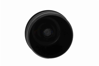 VAICO V48-0307 EAN: 4046001947308.