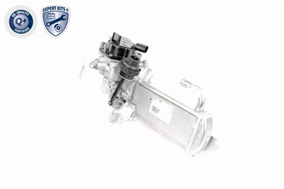 VEMO V10-63-0050 EAN: 4046001579882.