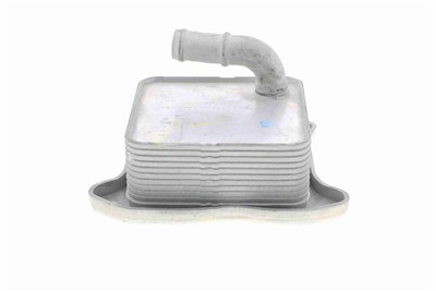 VEMO V15-60-6062 EAN: 4046001853975.