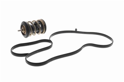 VEMO V15-99-2120 EAN: 4062375164851.