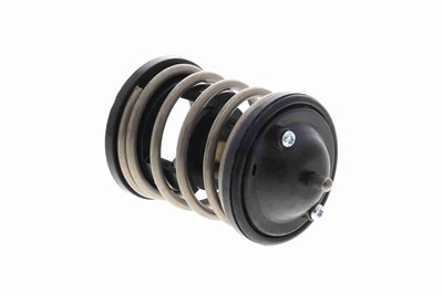 VEMO V20-99-0169 EAN: 4046001550164.