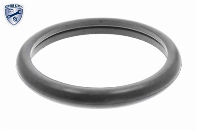 VEMO V25-99-1705 EAN: 4046001455865.