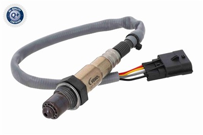 VEMO V30-76-0055 EAN: 4046001953811.