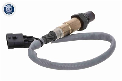 VEMO V30-76-0055 EAN: 4046001953811.