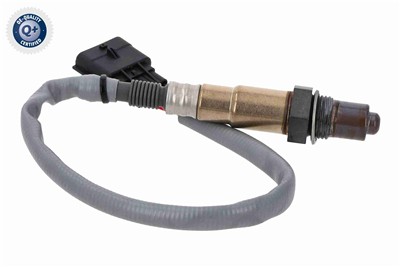 VEMO V30-76-0055 EAN: 4046001953811.