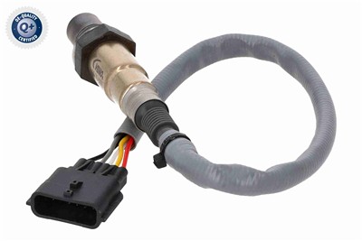 VEMO V30-76-0055 EAN: 4046001953811.