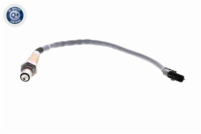 VEMO V30-76-0055 EAN: 4046001953811.