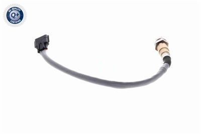 VEMO V30-76-0055 EAN: 4046001953811.