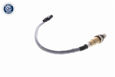 VEMO V30-76-0055 EAN: 4046001953811.