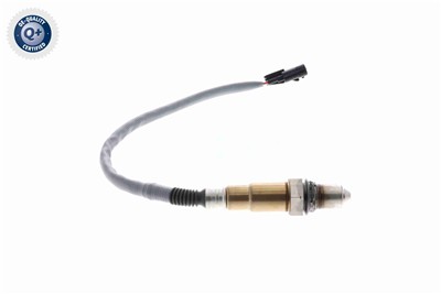 VEMO V30-76-0055 EAN: 4046001953811.