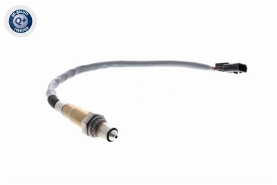 VEMO V30-76-0055 EAN: 4046001953811.