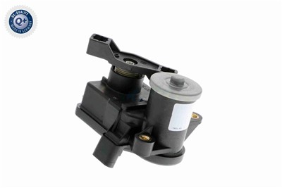 VEMO V30-77-0055 EAN: 4046001473739.