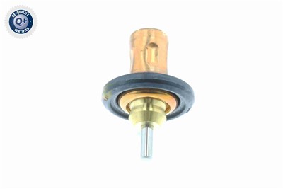 VEMO V30-99-0199 EAN: 4046001843822.