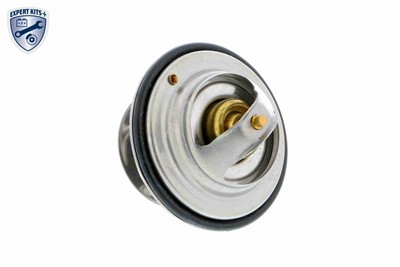 VEMO V30-99-2256 EAN: 4046001260032.