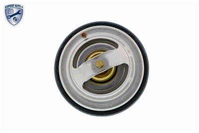 VEMO V30-99-2256 EAN: 4046001260032.