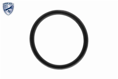 VEMO V42-99-0021 EAN: 4062375301607.