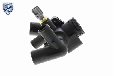 VEMO V42-99-0021 EAN: 4062375301607.