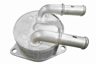 VEMO V95-60-0019 EAN: 4062375116201.