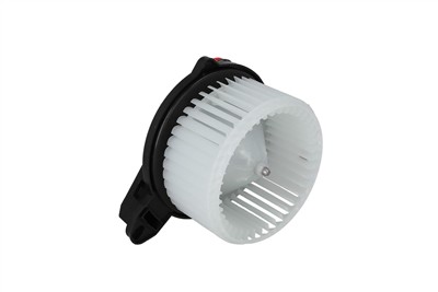 KAMOKA 7790087