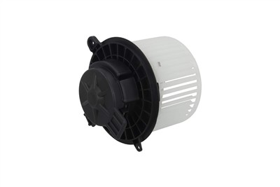KAMOKA 7790191