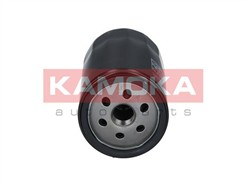 KAMOKA F101901